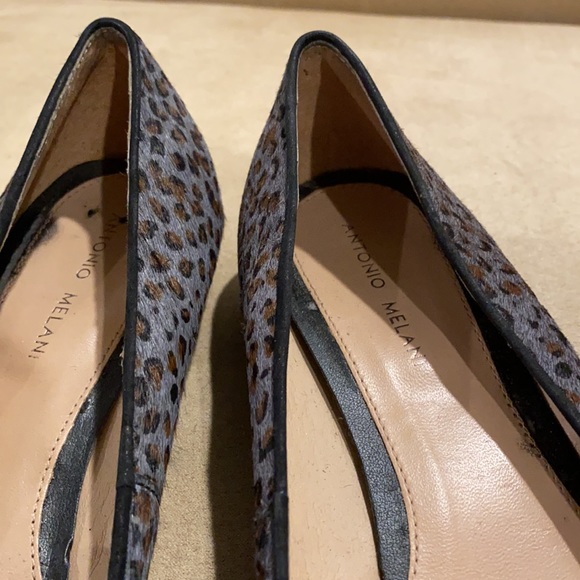 Grey Leopard - Picture 8 of 8